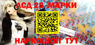 гашик Новодвинск