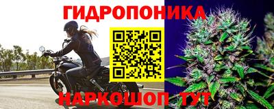 ПСИЛОЦИБИНОВЫЕ ГРИБЫ Новокубанск
