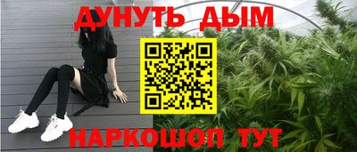 гашик Новодвинск