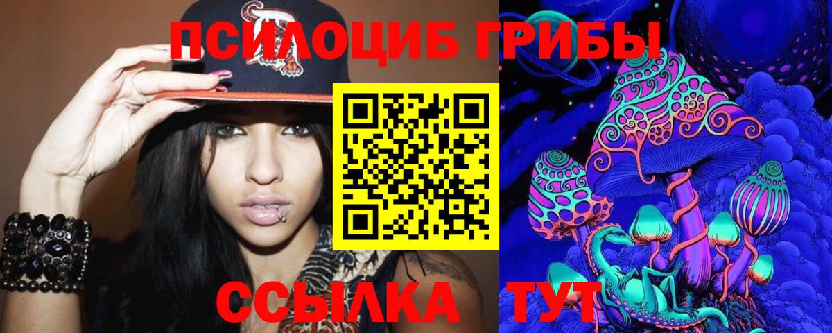 Псилоцибиновые грибы MAGIC MUSHROOMS  Псилоцибиновые грибы мухоморы  Вход с VPN  Сланцы 