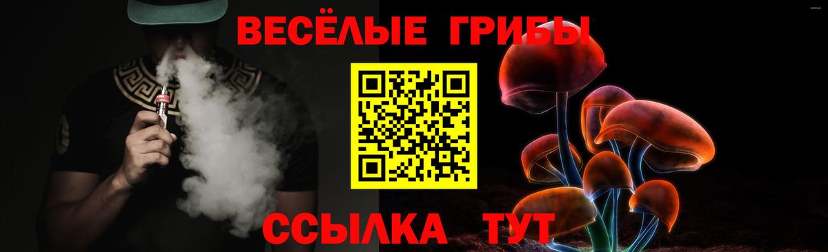 Галлюциногенные грибы Psilocybe Сланцы